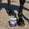 Equi Hoof™ Equibiotic – na sierść i kopyta u koni 1 kg