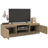 RTV Malwa 120 ARTISAN-2