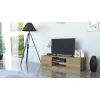 RTV Malwa 120 ARTISAN-3