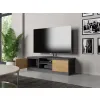 RTV Malwa 120 ANTRACYT ARTISAN-4