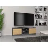 RTV Malwa 120 ANTRACYT ARTISAN-5