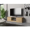 RTV Malwa 140 ARTISAN-6