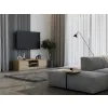 RTV Malwa 140 ARTISAN-8