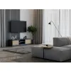 RTV Malwa 140 ANTRACYT ARTISAN-8