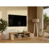 RTV Malwa 120 ARTISAN BIEL-10