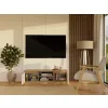 RTV Malwa 120 ARTISAN BIEL-11