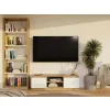 RTV Malwa 120 ARTISAN BIEL-12