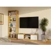 RTV Malwa 120 ARTISAN BIEL-13