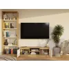RTV Malwa 120 ARTISAN BIEL-15