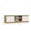 RTV Malwa 120 ARTISAN BIEL-7