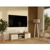 RTV Malwa 120 ARTISAN BIEL-8