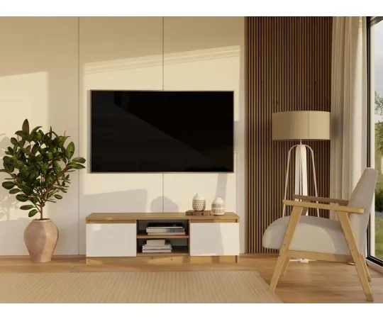 RTV Malwa 120 ARTISAN BIEL-9